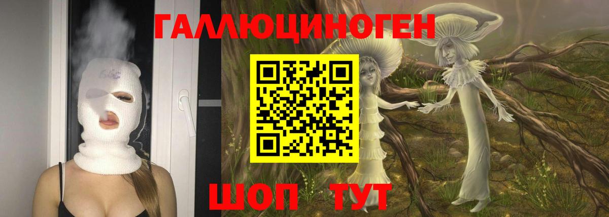 Псилоцибиновые грибы Psilocybine cubensis  Вход с VPN  Ревда 